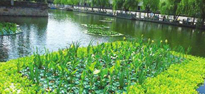 我公司想上一個(gè)污水處理項目，制訂技術(shù)方案時(shí)需要提供哪些資料？
